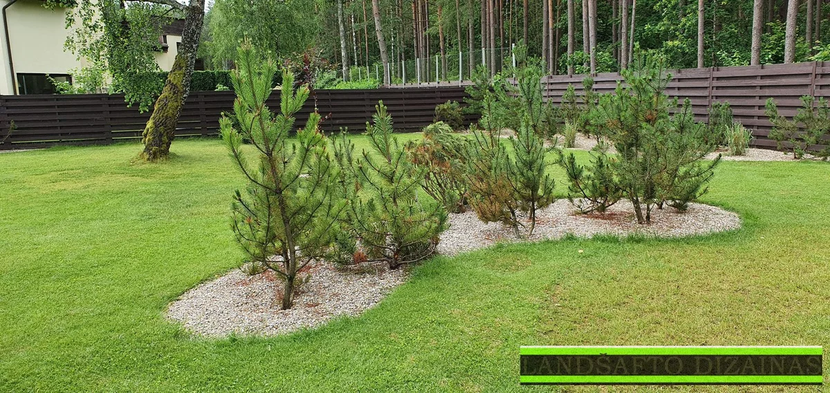 Augalų sodinimas nuotrauka 9